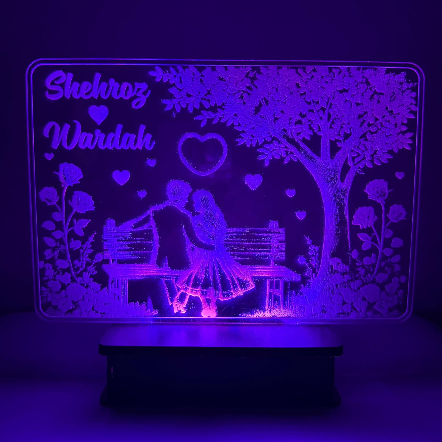 Couple in Park Customised Illusion Lamp